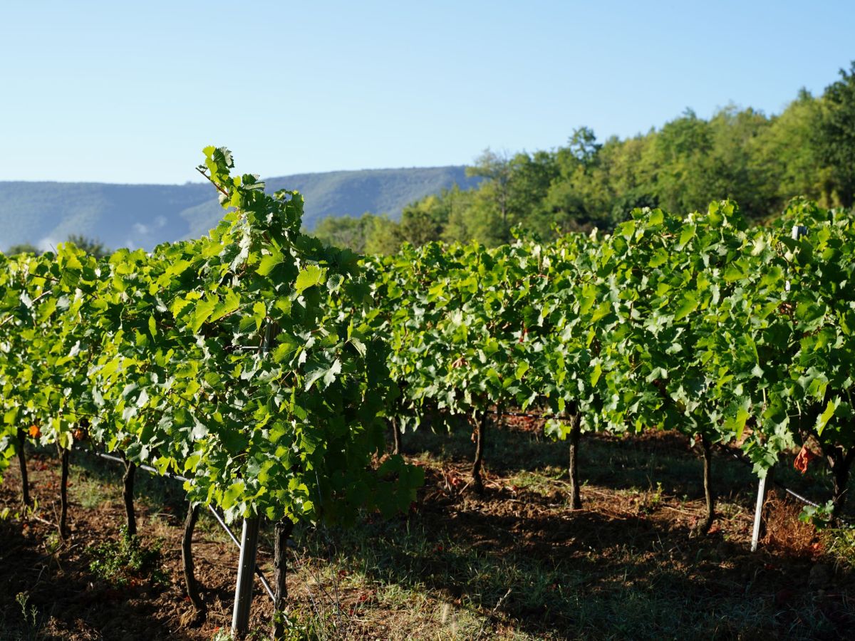 Südliche Provence – Southern&nbsp;Provence
